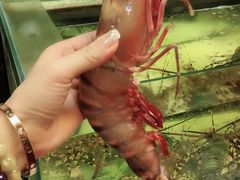 -ZF Seafood Restaurant 卓峰海鲜餐