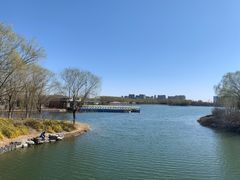 -大兴滨河森林公园