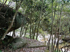 -妙道山国家森林公园