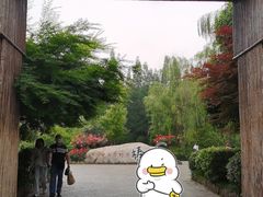 -习家池