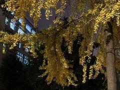 -四川大学(华西校区)