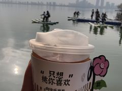 -金鸡湖桃花岛