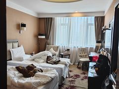 -长沙小天鹅戴斯酒店