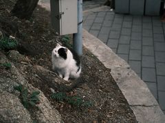 -慕田峪长城