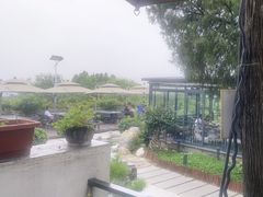 -蘇河湾·新鲁菜·泰山宴(泰山店)