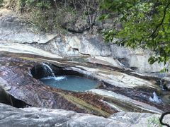 -广州白江湖森林公园