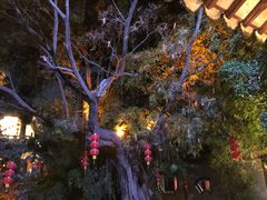 -东江渔村·古典园林·30年粤菜老字号(太和店)