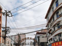 -溪岸路花鸟市场