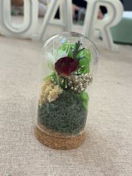 -安琪朵朵独栋花园月子中心