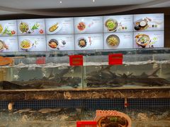 水产区-饭怕鱼·黄焖鲟龙鱼(湖大店)