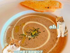 蘑菇汤-SHARK鲨鱼餐吧(购物公园店)