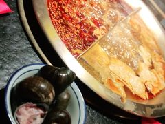 -九鼎轩脆毛肚火锅(南京东路店)