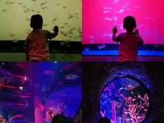 -沈阳海洋探索中心