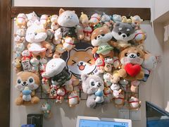 -逗柴咖啡屋·狗咖猫咖宠物桌游