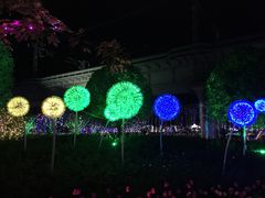 -枫林花海