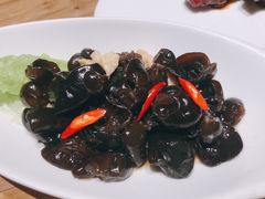 木耳双拌-枣子树·素食餐厅(普陀山店)