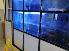 水产区-云中鱼蒸汽石锅鱼(川沙百联店)