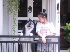 -TrueLove @ Neverland (Husky Cafe)
