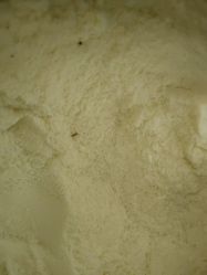 -孩子王(巴南万达广场店)