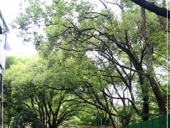 -杭州半山国家森林公园