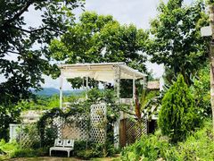-黄色小屋