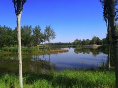 -东郊湿地公园