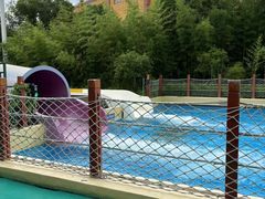 -上海玛雅海滩水公园