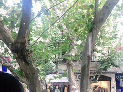 -蝶舍·MAISON PAPILLON