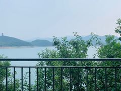 -望湖烤鱼