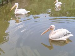 -南沙水鸟世界生态园