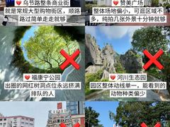 -圣淘沙天际线斜坡滑车