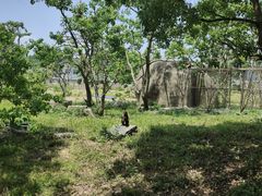 -宁波野生动物园