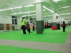 -武术世家少儿培训中心(首都体育学院店)