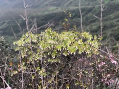 -湘邻呷铺·田园家宴(汉基广场店)