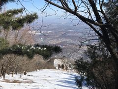 -北京鹫峰国家森林公园