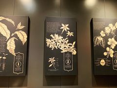 -星巴克(北京新东安)