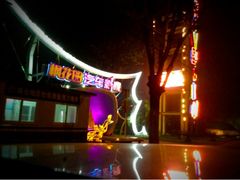 -枫花园汽车电影院(朝阳公园店)