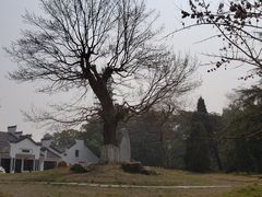-东湖落雁景区
