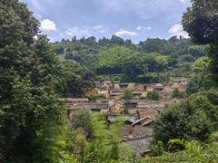 -杨家堂村