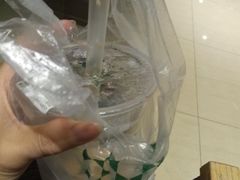 -1点点(建设六马店)