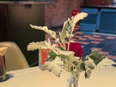-芙蓉堂(武汉天地店)