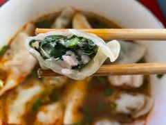 韭菜鲜肉饺子-熊大爷现包饺子(和平里店)
