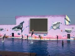 -北戴河圣蓝海洋公园