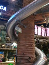 -卡通尼·Safari非洲探索乐园·生日会(金桥国际商业广场店)