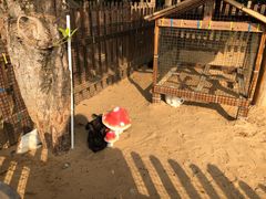 -三亚海棠湾万丽度假酒店