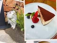 -Golden Lily河内巴黎法越料理餐厅(建国西路店)