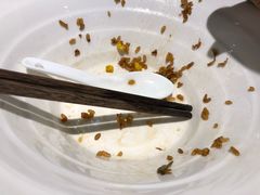 -汤去三面(骆驼店)