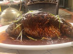 罾蹦鲤鱼-津菜宋记老房子(鼓楼店)