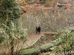 -莫干山风景区