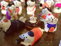 -猫咪博物馆(顶澳仔猫街店)